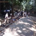 タイ撮影コーディネート