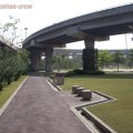 道